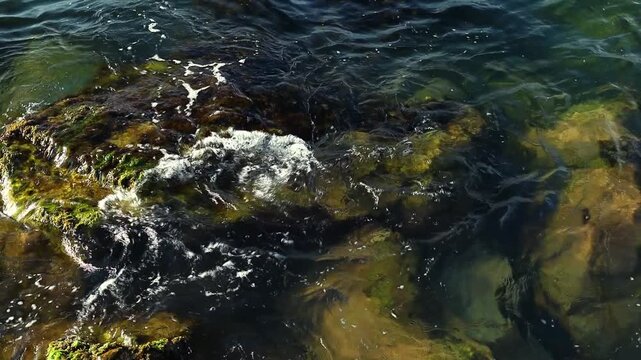 Underwater scene displays rocky seabed with green algae and clear water, as waves create ripples and movement over the stones in a coastal setting