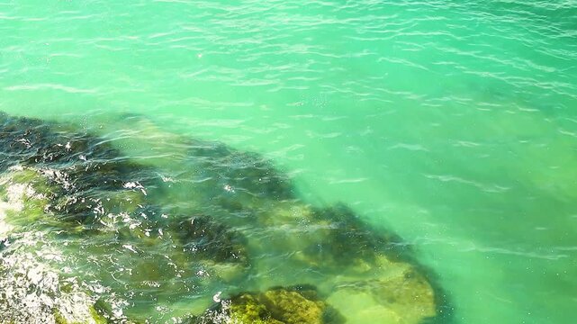 Turquoise water displays submerged rocks with green algae, illustrating the rich underwater life in a coastal setting with clear visibility