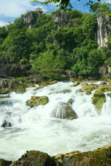 mountain river in the forest © may