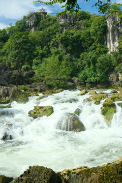 mountain river in the forest