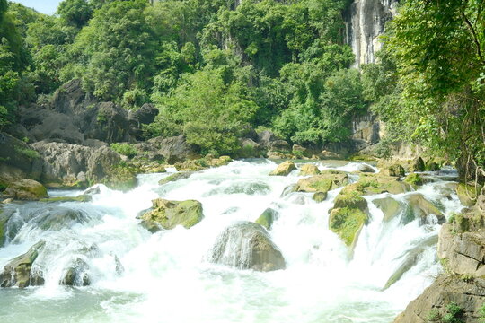 waterfall in the forest