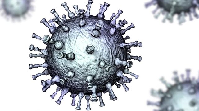 Varicella-zoster virus, 3D animation. Herpesvirus causing chickenpox and shingles, transmitted by respiratory droplets and direct contact with vesicular fluid.