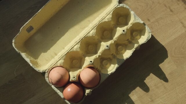 lacing fresh organic eggs into cardboard carton box, close up shot of male hands, farm food preparation concept