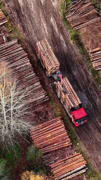 Red logging truck crane loader picking up timber logs from autumn forest stack aerial photo