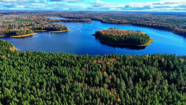 Aerial view of calm lake surrounded by lush green forests and colorful autumn foliage