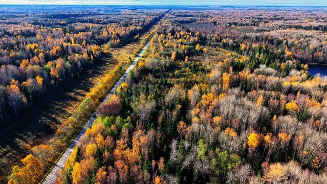 Aerial view of asphalt road through vibrant autumn forest with mixed tree colors and textures