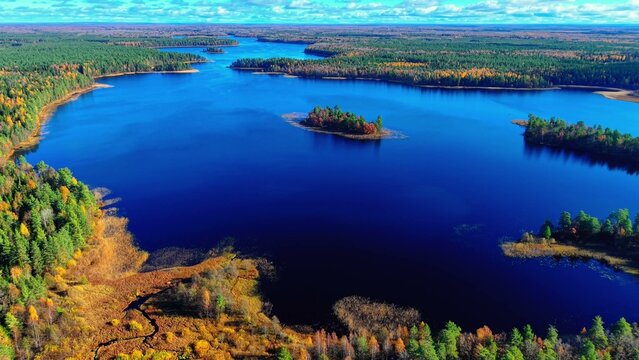 Vibrant autumn foliage reflecting on still lake surface surrounded by dense evergreen trees