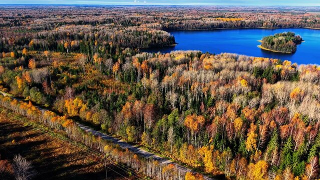 Aerial view of colorful autumn foliage surrounding a tranquil blue lake and winding road