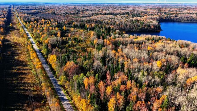 Aerial view of train tracks winding through vibrant fall foliage near a tranquil lake