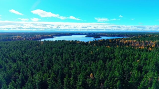 Aerial view of lush green coniferous forest interspersed with vibrant autumn foliage and lake