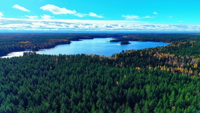 Aerial view of expansive green coniferous forest covering hills beside a tranquil blue lake