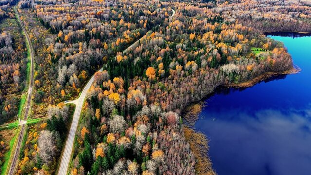 Railway tracks and winding road along autumn lakeside forest for intermodal transit corridor