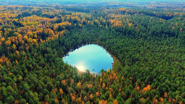 Aerial view of circular water body surrounded by vibrant autumn foliage and dense evergreen forest