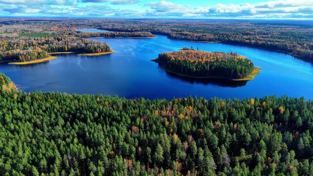 Aerial view of vibrant autumn foliage surrounding serene lake and lush evergreen forests