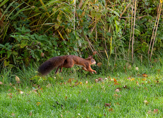 Bad Wörishofen im Herbst  © Bernd