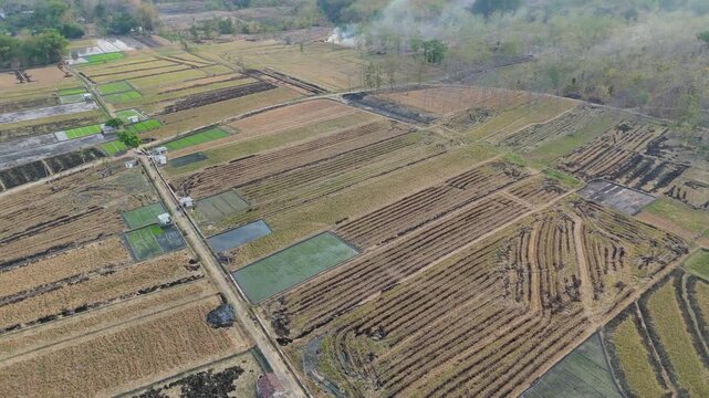 Aerial drone view flying forward over harvested agricultural fields and dry teak forest with smoke