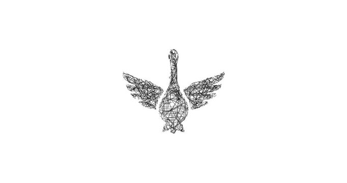 Sketch goose logo animation - smooth progressive reveal