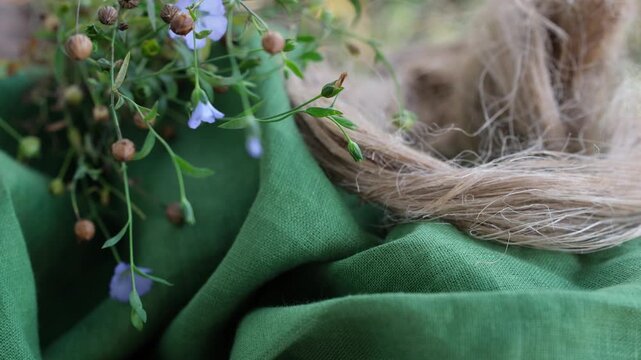 Flax plant with flowers and seed pods, flax fiber on green linen fabric. Shallow depth of field.