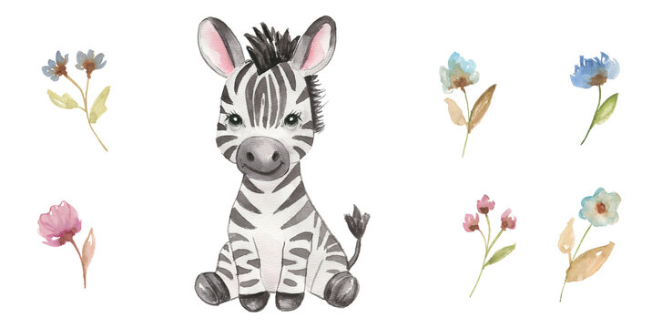 Cute hand drawn watercolor zebra - cute little baby zebra foal, sitting black white striped character. Hand-drawn illustration for nursery, baby shower, children card, safari animals collection.