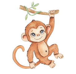 Cute hand drawn watercolor monkey - cute little baby monkey hanging from branch, brown character. Hand-drawn illustration for nursery, baby shower, children card, safari animals collection. © NATALIA