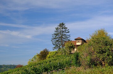 Weingut Esslingen © msl33