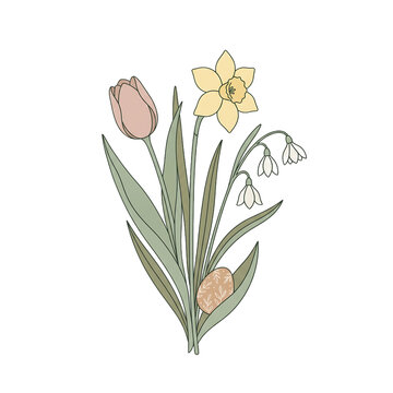 Beautiful spring floral bouquet illustration with tulip daffodil and snowdrop flowers isolated on transparent background