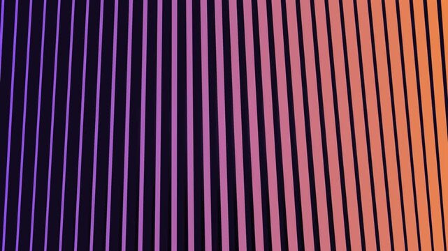 Purple and Peach Parallel Stripes on Black