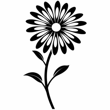 Daisy Flower