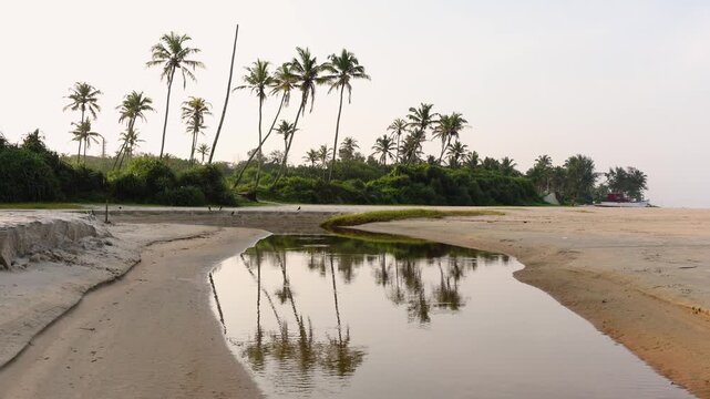 Mandrem beach landscape with palm trees calm water reflection and