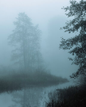 fog on the river