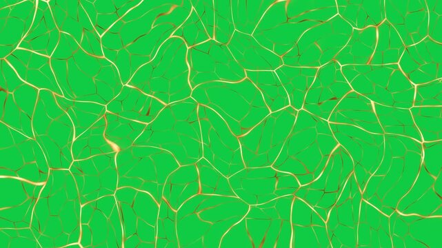 Animated Gold Kintsugi Cracks Spreading on a Bright Green Screen Background