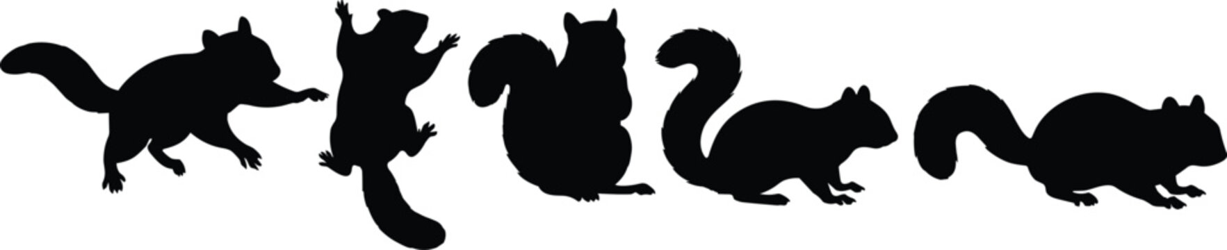 Black Squirrel Silhouette Collection with Different Poses and Bushy Tails on White Background