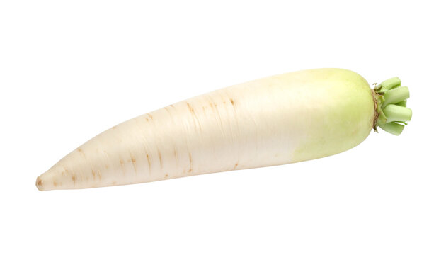 a radish isolated on transparent background, PNG