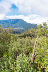 Montaña de Tamanca – Vulkanlandschaft, La Palma  © Florian Braun