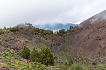 Montaña de la Gallo – Vulkanlandschaft, La Palma © Florian Braun