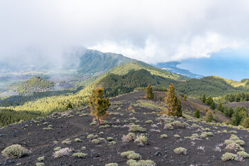 Montaña de la Gallo – Vulkanlandschaft, La Palma © Florian Braun
