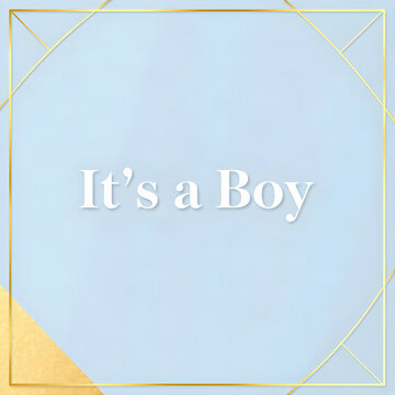 Its a Boy modern minimalist banner design with matte baby blue and gold foil accents