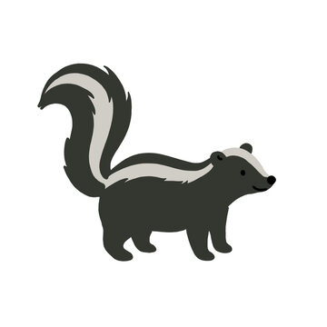 Adorable wild skunk character design for children book, nursery wall art, and forest wildlife collection