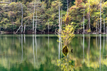 王滝村 © tosi