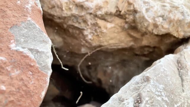 Spider web strung between rough geological rocks forming dark cave
