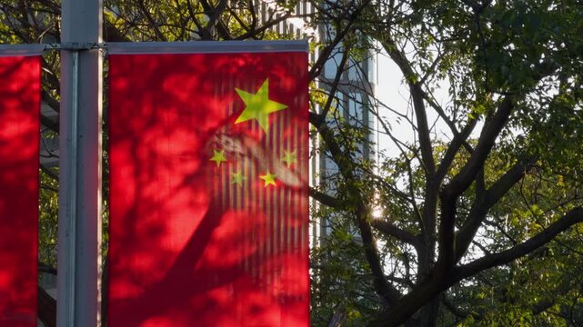 Chinese National Flag Backlit Tree Shadow Gently Swaying Street Scene Qingdao