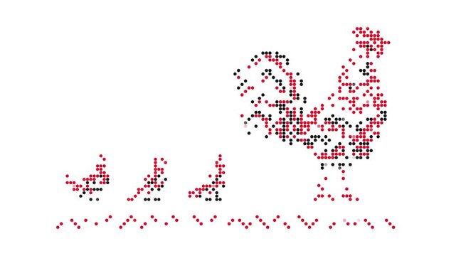Traditional Ukrainian rooster with chicks and zigzag border embroidery motif in red and black beaded style, animated video on white
