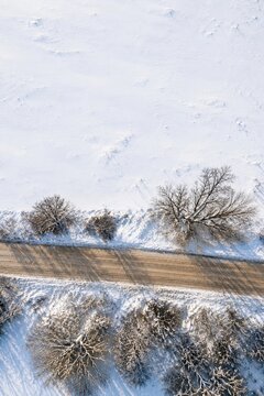 Aerial view of rural road at snowy field with frosty bare trees on sunny winter day, cold countryside