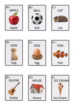 Educational alphabet flashcards with letters through i isolated on a white or transparent  background