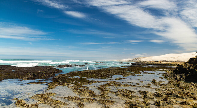 spectacular rocky coastline of De Hoop Nature Reserve, Western Cape, South Africa