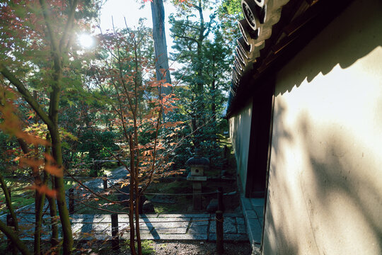 京都の大徳寺の美しい庭園の紅葉