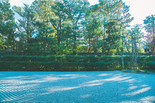 京都の大徳寺の美しい庭園の紅葉
