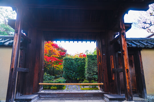 京都の大徳寺の美しい庭園の紅葉