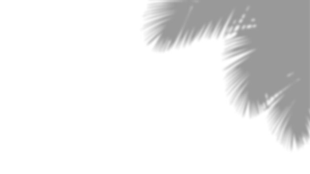 Minimal Soft Shadow Gradient Background with Clean White Space