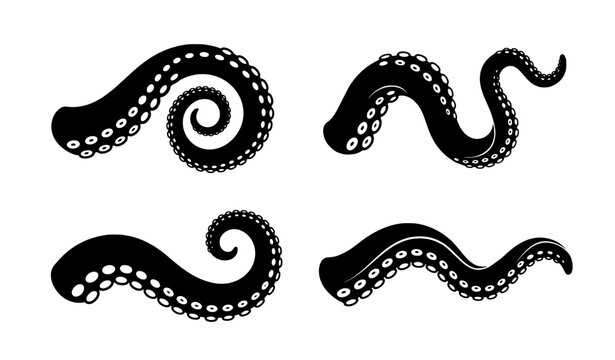 Intricate Curled Octopus Tentacles Black and White Silhouette Collection